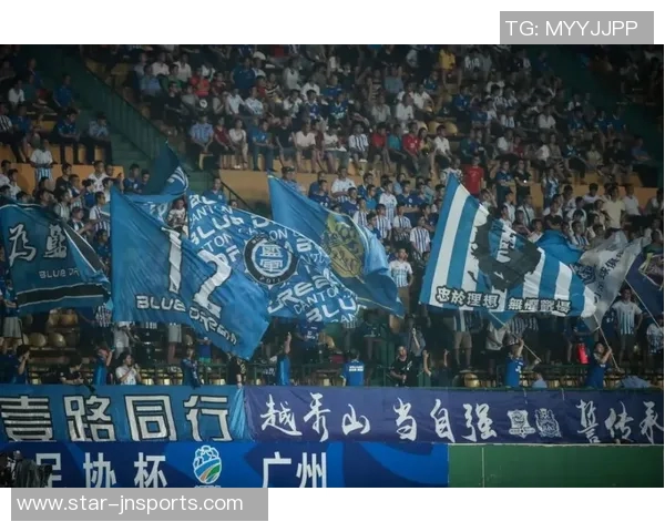 杨强深度解析欧冠足球赛事精彩心得与战术分享